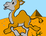 Coloring page Camel painted bygiovanni correa torres
