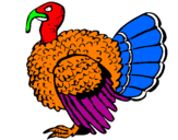 Coloring page Turkey painted bypedro saboya