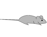 Coloring page Rat painted byomar