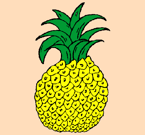Coloring page pineapple painted bylivia carolina