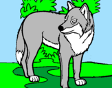 Coloring page Wolf painted bykristen