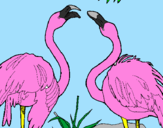 Coloring page Flamingos painted byanimal 