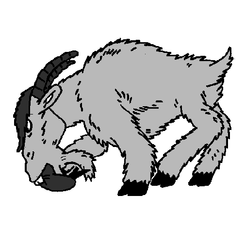 Coloring page Angry goat painted byanimal 