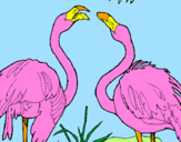 Coloring page Flamingos painted bymlw