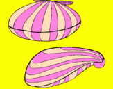 Coloring page Clams painted byEllie age  6 