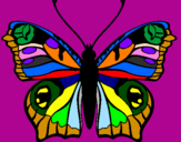 Coloring page Butterfly painted bymarlon