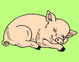 Coloring page Sleeping pig painted byghfhgi