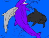 Coloring page Dolphins playing painted byrobert