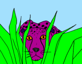 Coloring page Cheetah painted byChi Chi