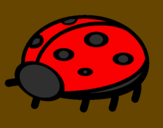 Coloring page Ladybird painted byjahnvi