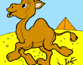 Coloring page Camel painted bytigre