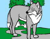 Coloring page Wolf painted byKeylen*