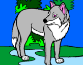 Coloring page Wolf painted byChi Chi