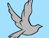Coloring page Dove of peace in flight painted byisabellav.