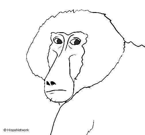 Coloring page Baboon painted bybea