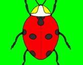 Coloring page Ladybird painted byRODOLFO