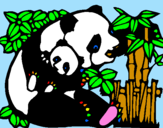 Coloring page Panda mother painted byRODOLFO