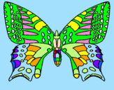 Coloring page Butterfly 5 painted bymariposa