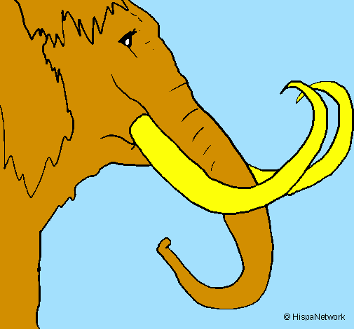 Coloring page Mammoth painted bymorgan jacquier