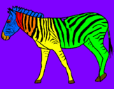 Coloring page Zebra painted byRODOLFO