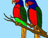 Coloring page Parrots painted bymaxi