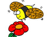 Coloring page Wasp and flower painted bythe bee is on the flower