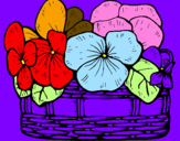 Coloring page Basket of flowers 12 painted bypedro