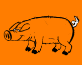 Coloring page Pig with black trotters painted byhrhrhfhhffhfhfhfhhfhfhfhf