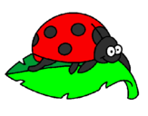 Coloring page Ladybird on a leaf painted byLUCHI