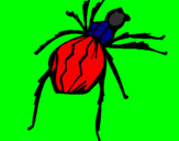 Coloring page Black Widow spider painted byasweert