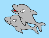 Coloring page Dolphins painted bymolder
