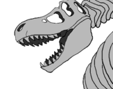 Coloring page Tyrannosaurus Rex skeleton painted byr.j.