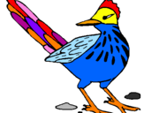 Coloring page Roadrunner painted bypaola v.