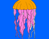 Coloring page Jellyfish painted bymarcos