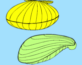 Coloring page Clams painted bydavi,
