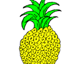 Coloring page pineapple painted bysamuele     sansica