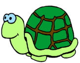 Coloring page Turtle painted byNISH