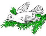 Coloring page Swallow painted byNISH