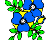Coloring page Poppies painted byNISH