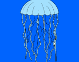 Coloring page Jellyfish painted bychloe