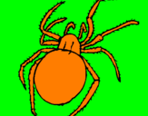 Coloring page Poisonous spider painted byivo