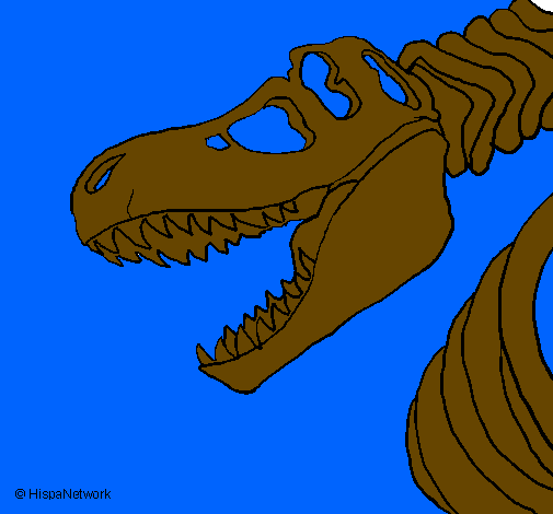 Coloring page Tyrannosaurus Rex skeleton painted byNicholas