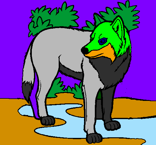 Coloring page Wolf painted byivo