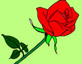 Coloring page Rose painted byana