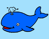 Coloring page Whale shooting out water painted bychloe