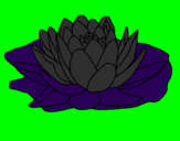 Coloring page Nymphaea painted bynick