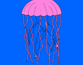 Coloring page Jellyfish painted bychloe