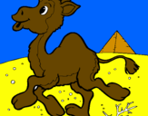 Coloring page Camel painted bygerardo