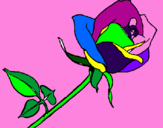 Coloring page Rose painted byana