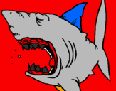 Coloring page Shark painted byivo
